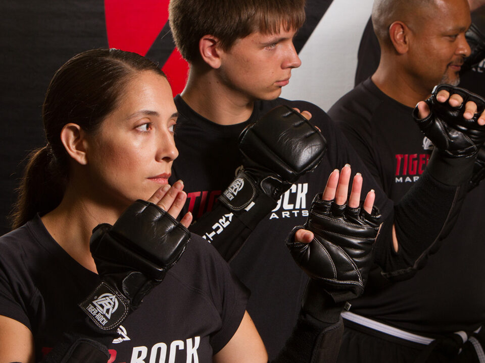 adult martial arts classes in katy tx
